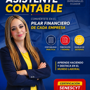 Asistente Contable